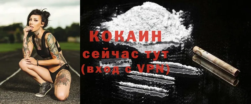 Где купить наркотики Енисейск Гашиш  Alpha-PVP  COCAIN  МЕФ  Конопля 