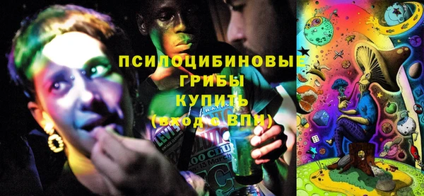молекула духа Лиски