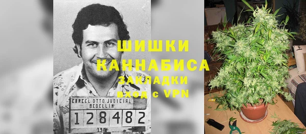 молекула духа Лиски