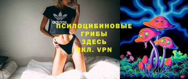 молекула духа Лиски