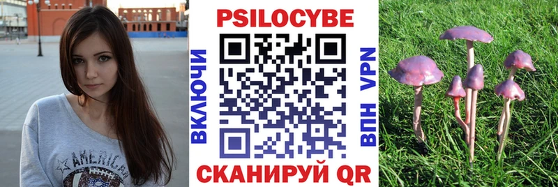 Галлюциногенные грибы мухоморы Енисейск