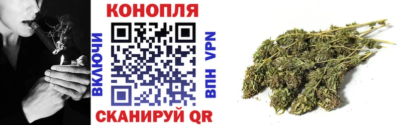 где продают   Енисейск  Марихуана SATIVA & INDICA 